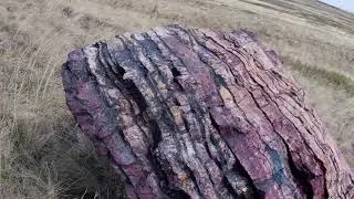 In search of green JASPER