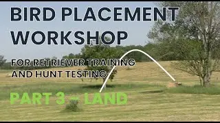 BIRD PLACEMENT WORKSHOP - BIRD PLACEMENT IN RETRIEVER TRAINING AND HUNT TESTING PART 3