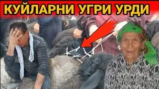 КАЛТАК БИЛАН УРАДИГАН ЭНА ТУНДА БИЗНИ НЕГА ЧАКИРДИ(ОХУНОВ ТВ)