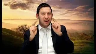 רעיון לשולחן השבת - פרשת תצוה | מאת הרב נפתלי וסרמן