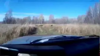 Поездка в Богданово. часть 2.