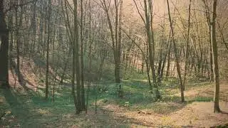 Голосеево, Дидоровка
