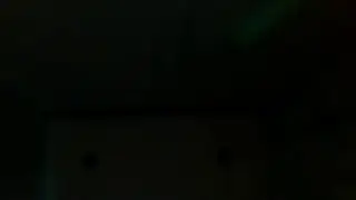 Vogelhaus Livestream