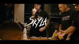 [FREE] FLY LO TYPE BEAT - “SKYLA”