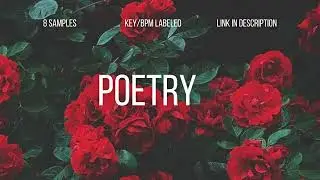 [Free] Alt RnB Sample Pack 