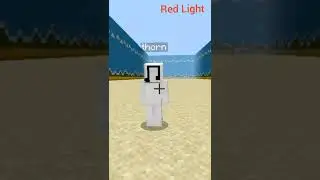 Squid Game In Minecraft?