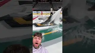 I NEED TO GO TO AN ICE HOCKEY GAME TO SEE THIS 