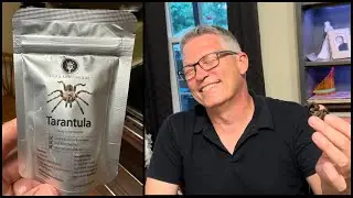 Eating a Whole Tarantula (minus a few legs)