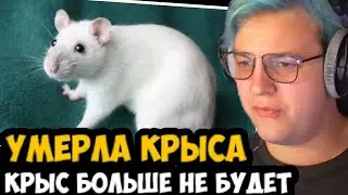 У ПЯТЕРКИ УМЕРЛА КРЫСА! КРЫС БОЛЬШЕ НЕ БУДЕТ ПЯТЕРКА ПРОТИВ ЗАВЕДЕНИЯ ЖИВОТНЫХ!