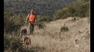 Ezber Bozmaya Devam Kopay' a Aport Eğitimi