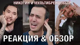 Реакция и обзор НИКОТИН И МУЛЬТИБРЕНДОВЫЙ