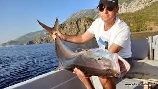 BALIGIN MIDESINE OLTAYI INDIRMEK - www.adrasanbalik.com