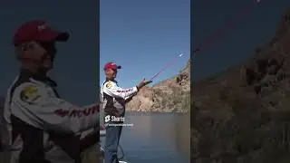 That was A Rock working a Tokyo Rig #bassfishing #shorts
