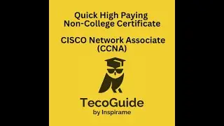 Quick High Paying Non-College Certificate - CISCO Network Associate (CCNA)