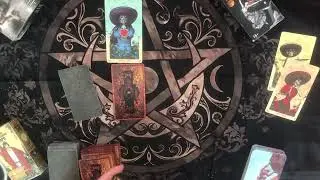 4 КОРОЛЕВЫ: ВАШ СЕНТЯБРЬ - работа, отношения, послание Рода