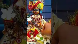Laddu gopal status🙏☺️/#bhog #laddu #krishna #shortsfeed
