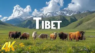 Tibet 4K Cinematic Footage - Drone Nature Film With Epic Cinematic Music