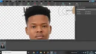 How To Remove Background On An Image | PhotoPad