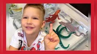 Игрушки (коллекции ДЕАГОСТИНИ) меняют цвет в горячей и холодной воде, и светятся в темноте