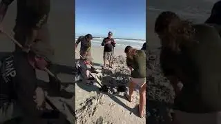 Mysterious 80- foot object appears on a beach in United States.