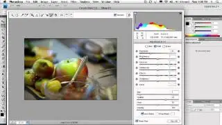 Photoshop Camera Raw Adjustment Brush
