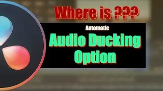 Audio Ducking option not showing in Davinci resolve 20