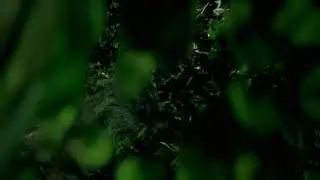 G R E E N    I S L E T  -  made in Unreal Engine