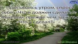 ЦИТАТА МЕСЯЦА Май 2022