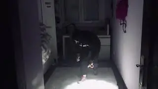 Badekogu!