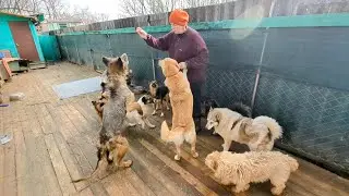 Самая 