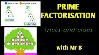 Prime Factorisation #factors
