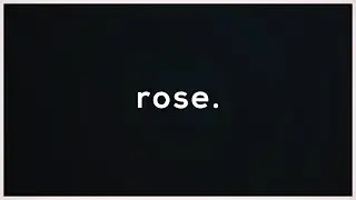 R053 2019
