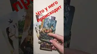 #феникстаро