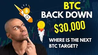 Bitcoin Has Hit A Key Resistance At $30,000! What Next?