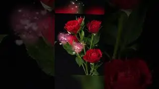Кутманду кечинер менен!Добрый вечер!