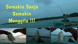 Heeraann !!! Hari Mulai Gelap Ikannya Malah Tambah Rakus