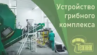 EQUIPMENT for MUSHROOMS BUSINESS! 