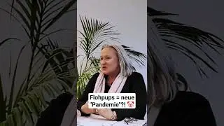 Flohpups = neue "Pandemie"?! 🤡