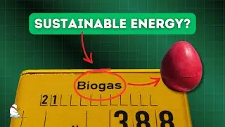 Anaerobic Digestion: From Waste to Energy