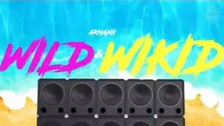ARMANII - wild and wikid (fast)