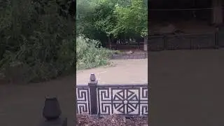 Паводок на р. Салгир. г. Симферополь 28.06.2022