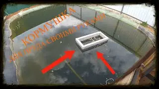 Кормушка для пруда своими руками / простая конструкция 2019 год.