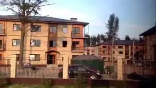 Черничная поляна 1 августа презентационное видео