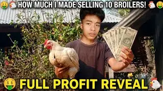 How Much I Made Selling 10 Broilers! ( Full Profit Reveal ) 💸💸