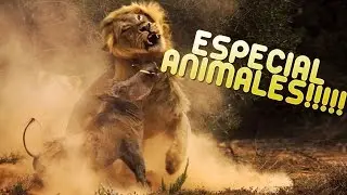 FOTOS tomadas en el MOMENTO EXACTO