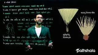 બીજનો ફેલાવો । 12 વનસ્પતિમાં પ્રજનન | વિજ્ઞાન | ધોરણ 7