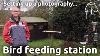 What food will attract birds? - Photographing garden birds - Part 2