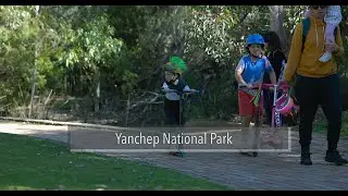 Yanchep National Park a beautiful day and meal at Yanchep Inn