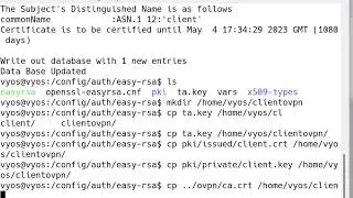 6 VYOS create client certificate for OpenVPN