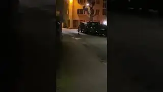 Кролик в городе